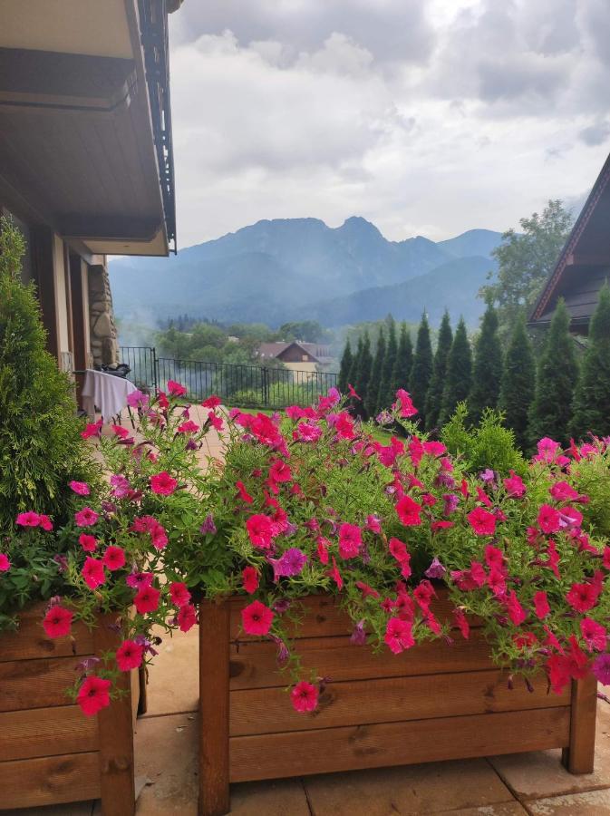 Harnasiowa Izba Ski - Polana Szymoszkowa Ski Resort Zakopane Exterior photo